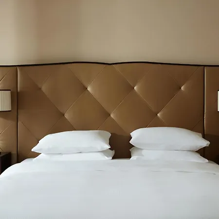 باليه دو لا ميديتيراني فندق