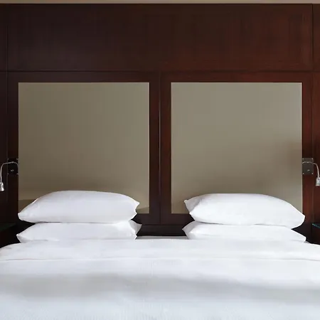 فندق باليه دو لا ميديتيراني 5*