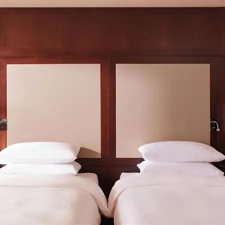 باليه دو لا ميديتيراني فندق نيس