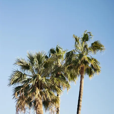 Hotel Hotel Palais De La Mediterranee, In The Unbound Collection By Hyatt 5*