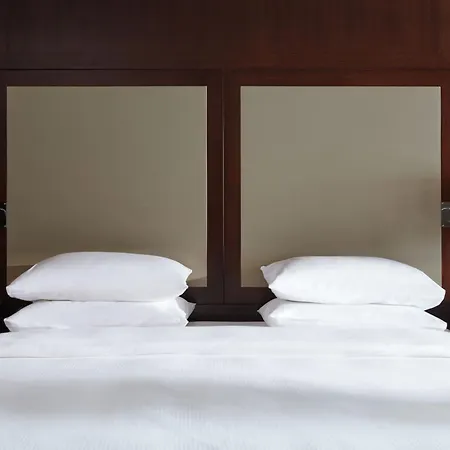 Hyatt Regency Palais De La Mediterranee Nice