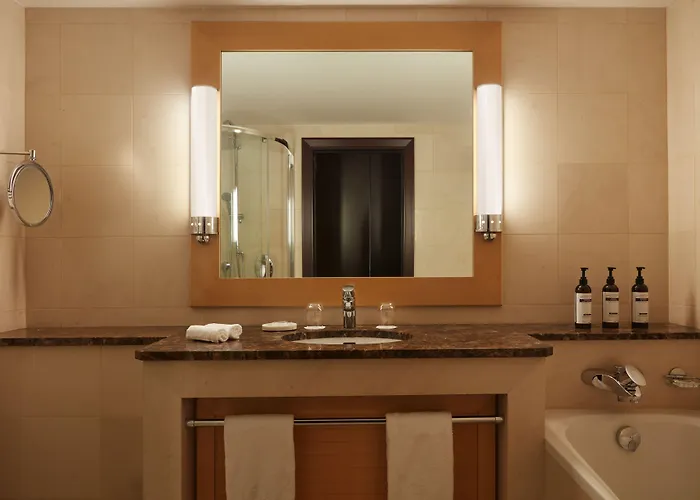 凯悦尼斯地中海宫殿酒店 尼斯