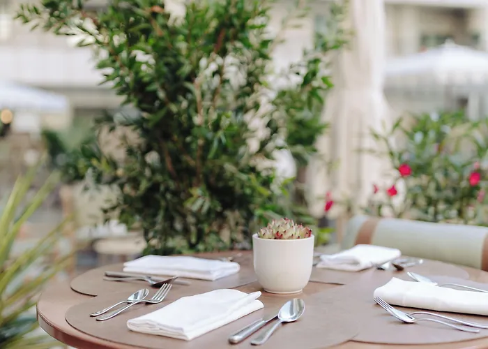 凯悦尼斯地中海宫殿酒店 5* 尼斯