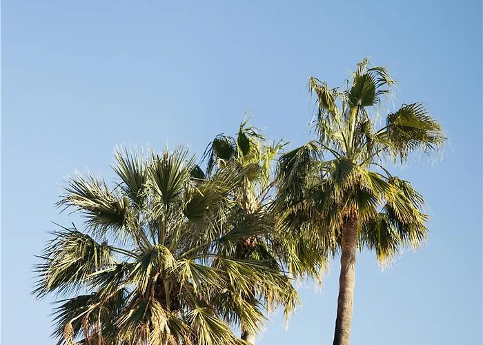 凯悦尼斯地中海宫殿酒店 5*