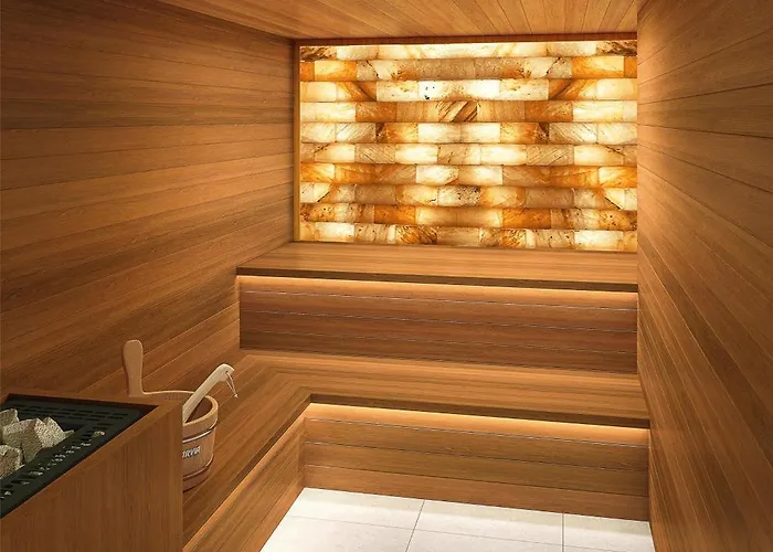 凯悦尼斯地中海宫殿酒店 酒店 尼斯