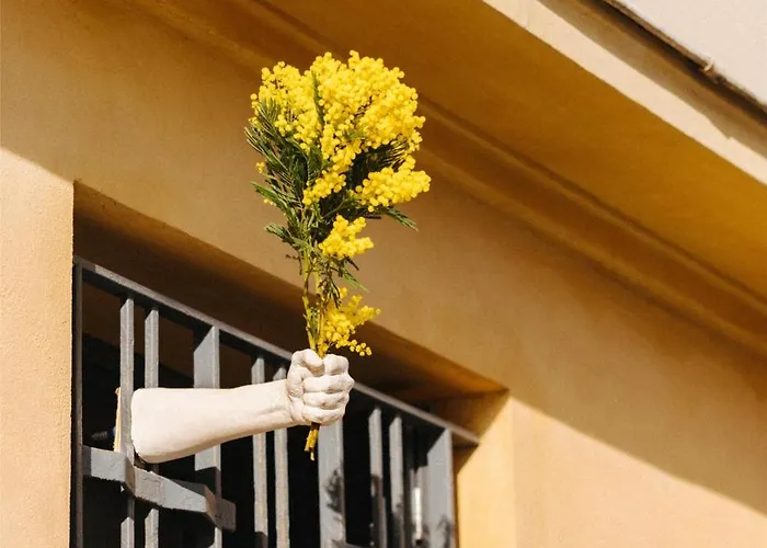 凯悦尼斯地中海宫殿酒店 酒店 尼斯